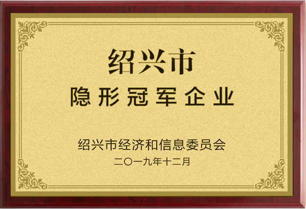 2019年紹興市隱形冠軍企業